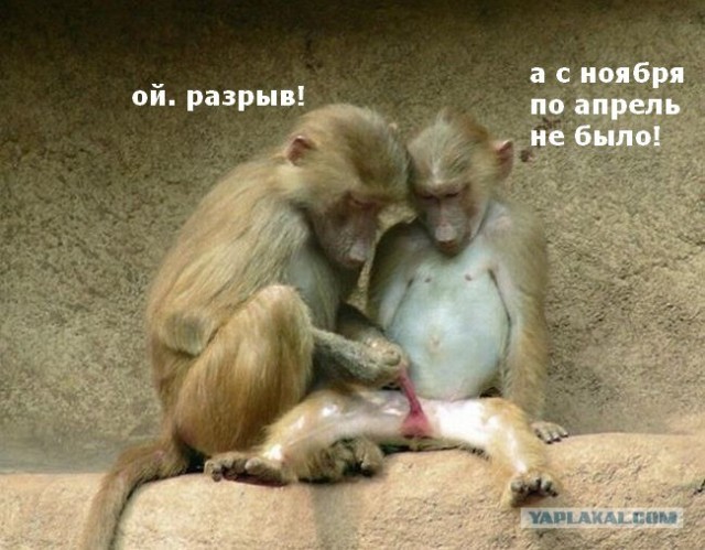 Фотожаба: Звонок в Стрим! Антон Уральский
