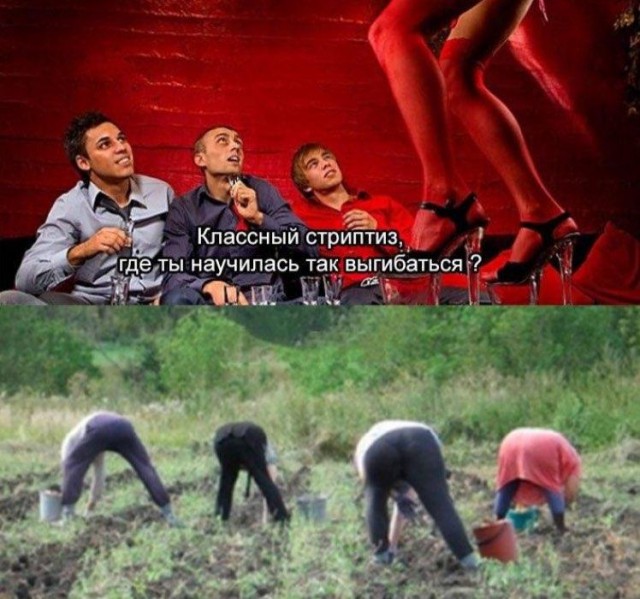 Очень пошлые картинки про это.18+