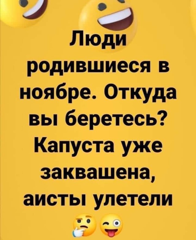 Фотки и картинки: юморные и красивые, забавные и милые 13.11.20