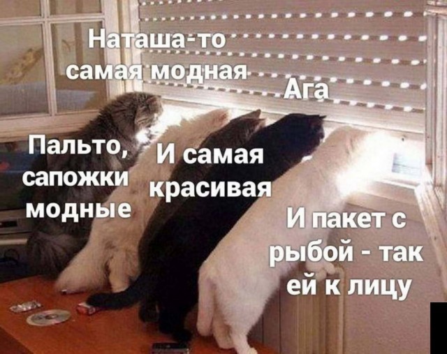 Картинки и мемы для настроения 005