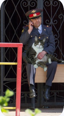 Фотожаба: Грустный...