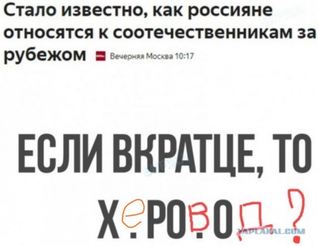 Весёлый полтишок 20.03