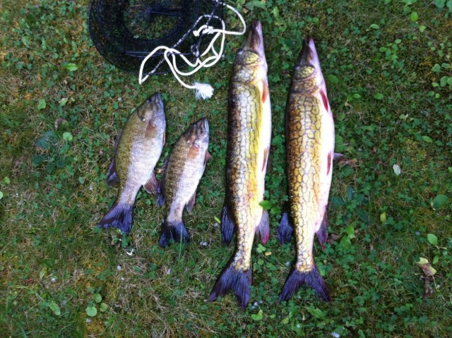 Нас лишили нормальной рыбалки и отдыха