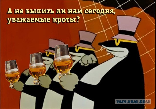 Одной печальной фотки пост