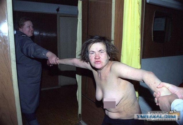 Лапочки Пятничные