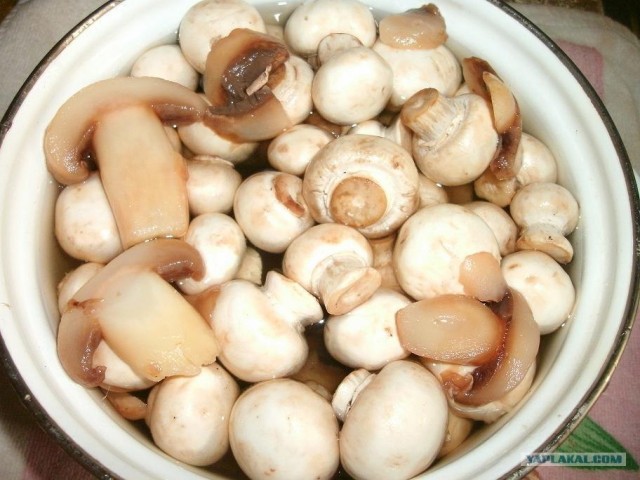 Заготовки на зиму for Sveshka