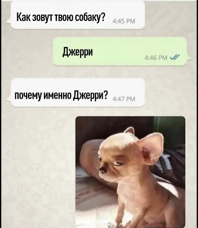 Забавные комментарии из социальных сетей (11.10.21)