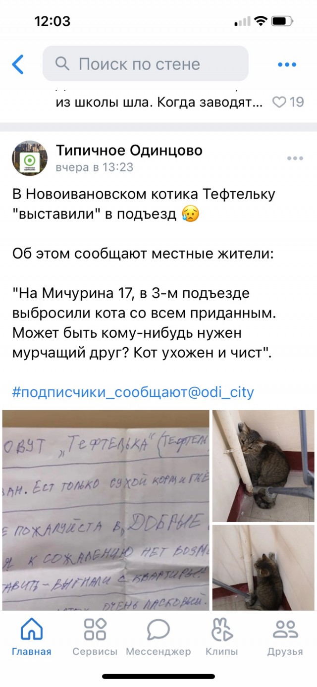 Под Одинцово жители многоэтажки нашли в подъезде переноску с котиком и записку