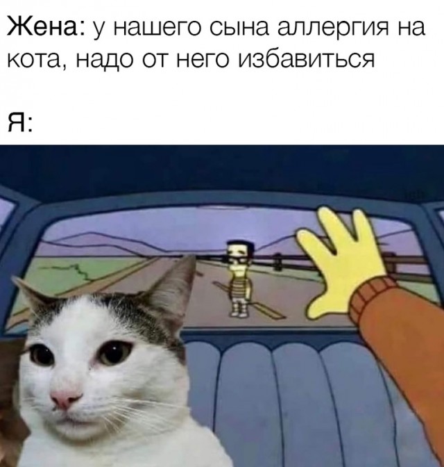 Весёлый полтишок 14.03