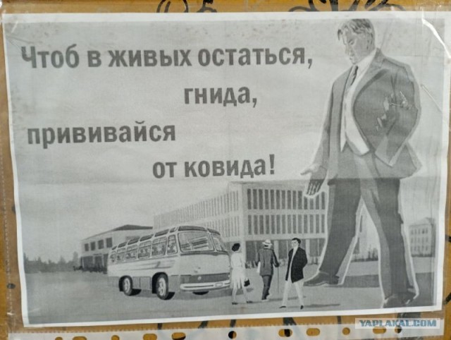 Настенная жизнь обычного завода