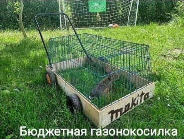 Картинки с надписями 10.07.22