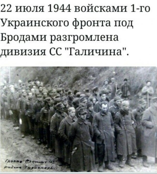 Пандемия съехавших крыш - разновидности болезни. Россия и мир. Часть 38