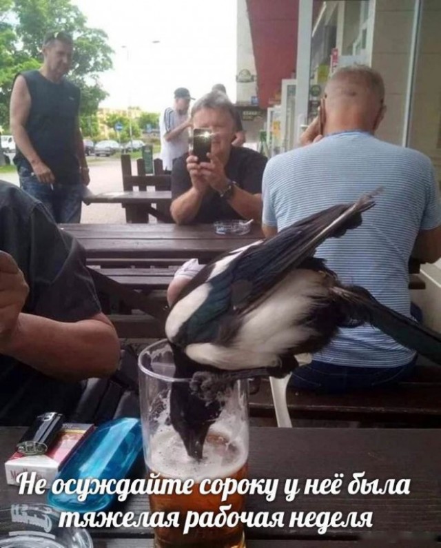 Картинки и мемы для настроения. Выходные близко...