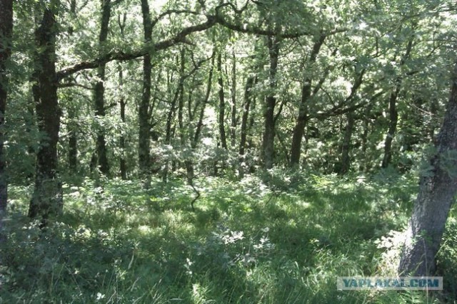 500 км. по Испании пешком