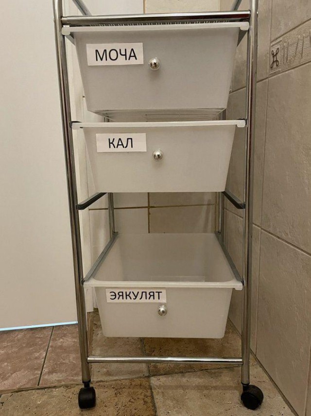 И я туда же!