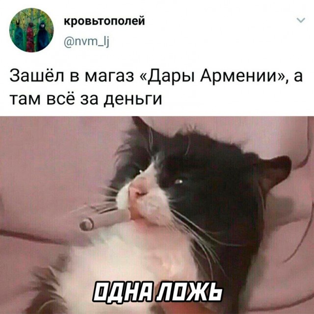 Весёлый полтишок 08.09.22