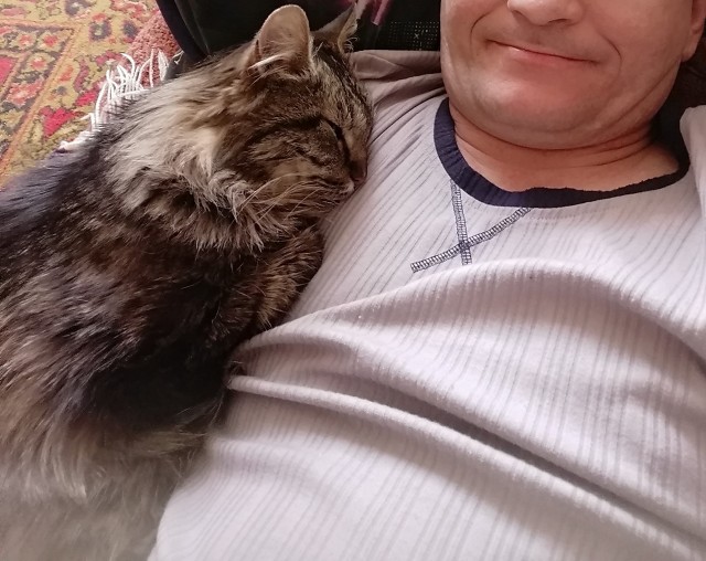 А как вы спите с котиком?