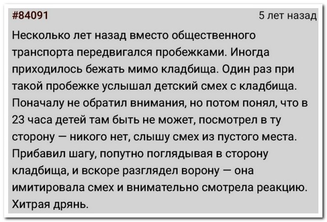 Забавные комментарии из социальных сетей 05.12.22