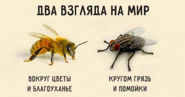 Итоги спущенных на воду в 2022 году корабликов