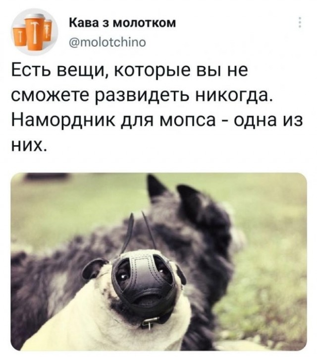 Скриншоты и комментарии из социальных сетей 12.01.23