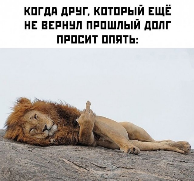 Картинки и мемы, это май-чародей всяко разно - 177