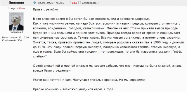 Пипеткина Йорк