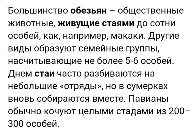 Всем белым учащимся с черными нужен как минимум травматический пистолет.