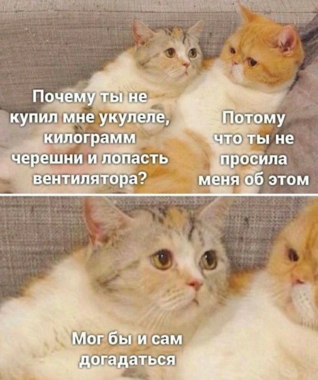 Так себе картинки 01.08.23