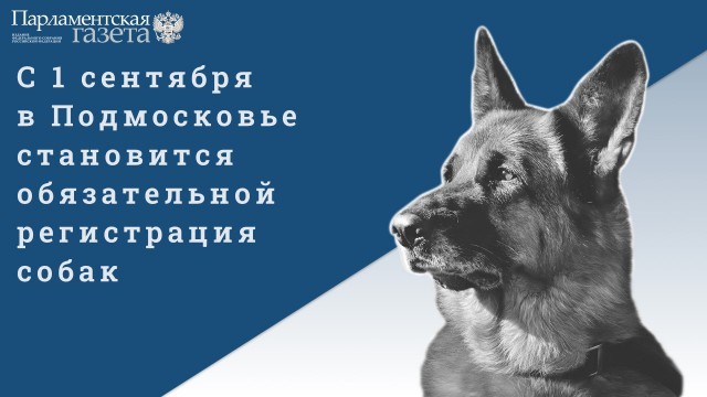 Демократия в опасности!