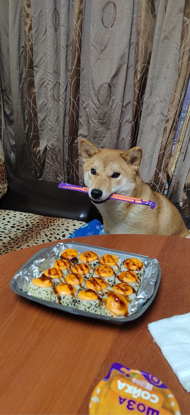 Собакочетверг