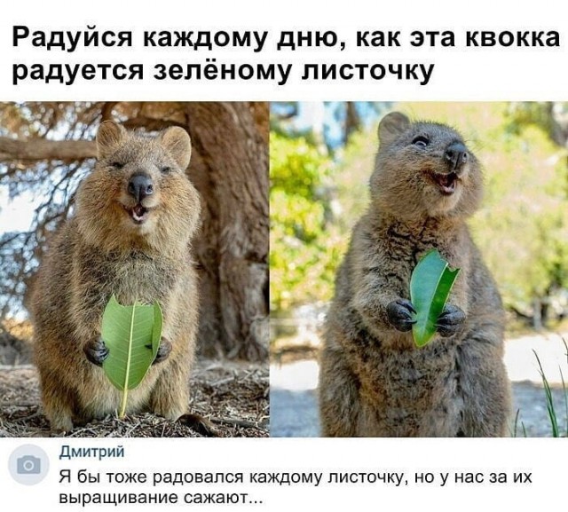 Так себе картинки 02.09.23