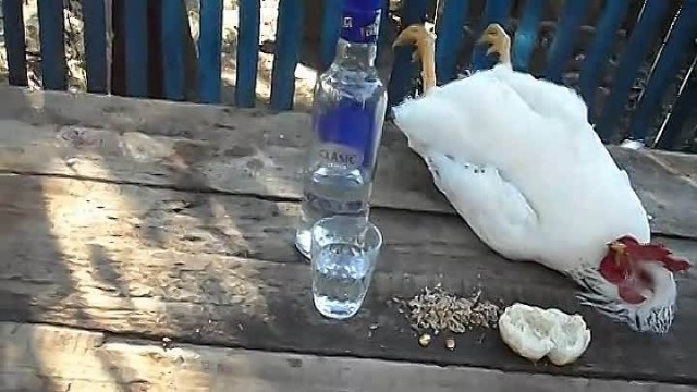 Как же наивны запойные алкоголики!
