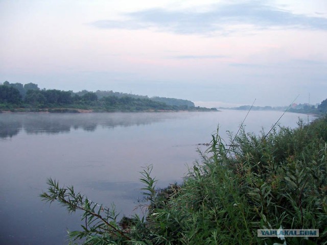 Реки, большие и маленькие