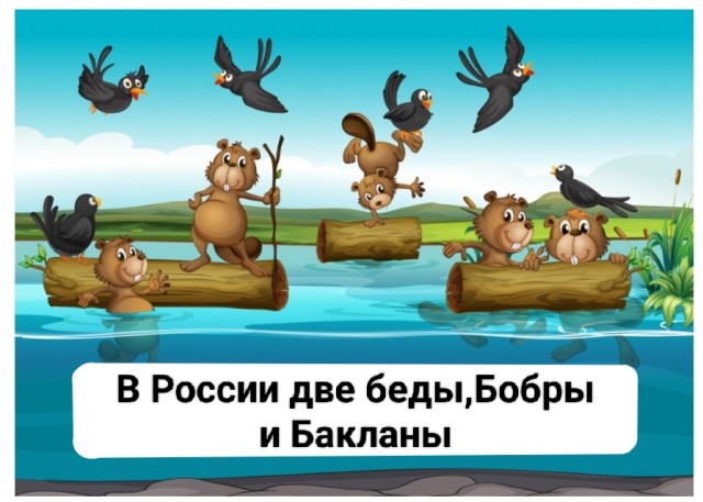 Бобры сорвали строительство моста в Первомайском районе в Нижегородской обл.
