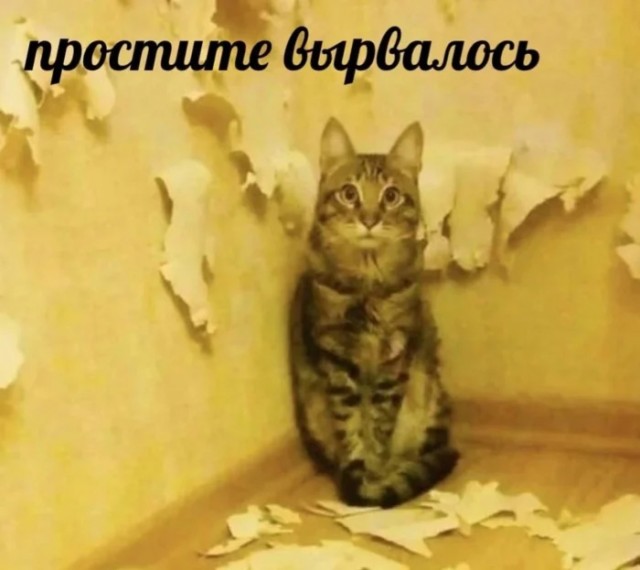 Мемы для самых умных