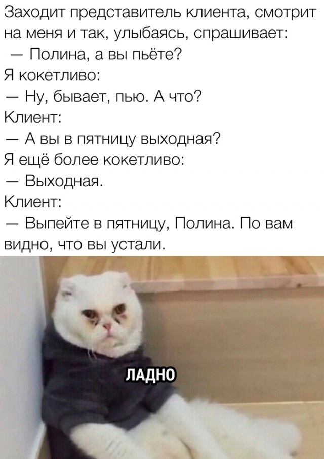 Прикольные и просто красивые картинки 06.10.23