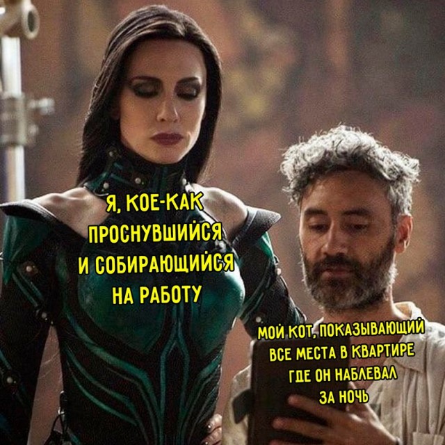 Весёлый полтишок 09.11.23