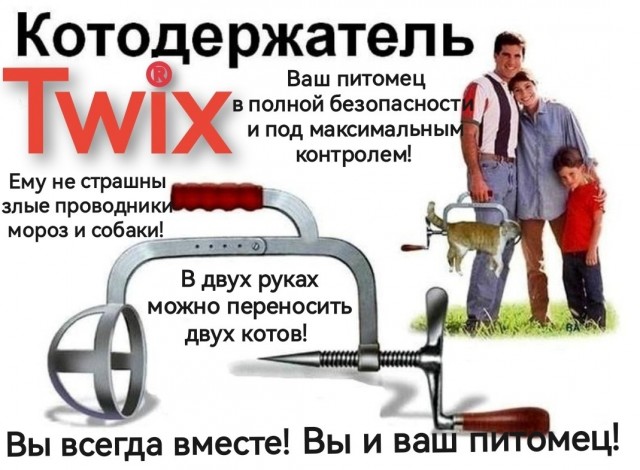 Кот Твикс. Служебная проверка и показания проводницы