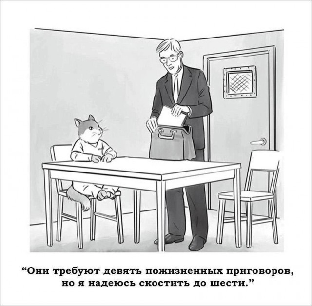 Нуштош 02.02.2024