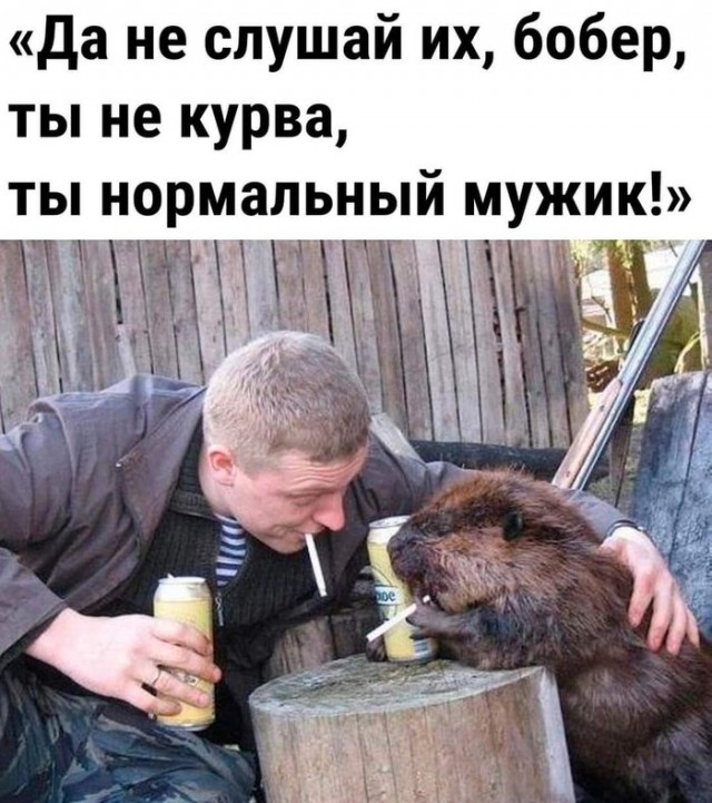 Завалялось тут случайно немного забавных картинок