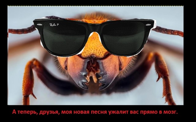 Ребят, внимательнее, полосатые убийцы рядом. И чаще всего вы ничего не успеете сделать.