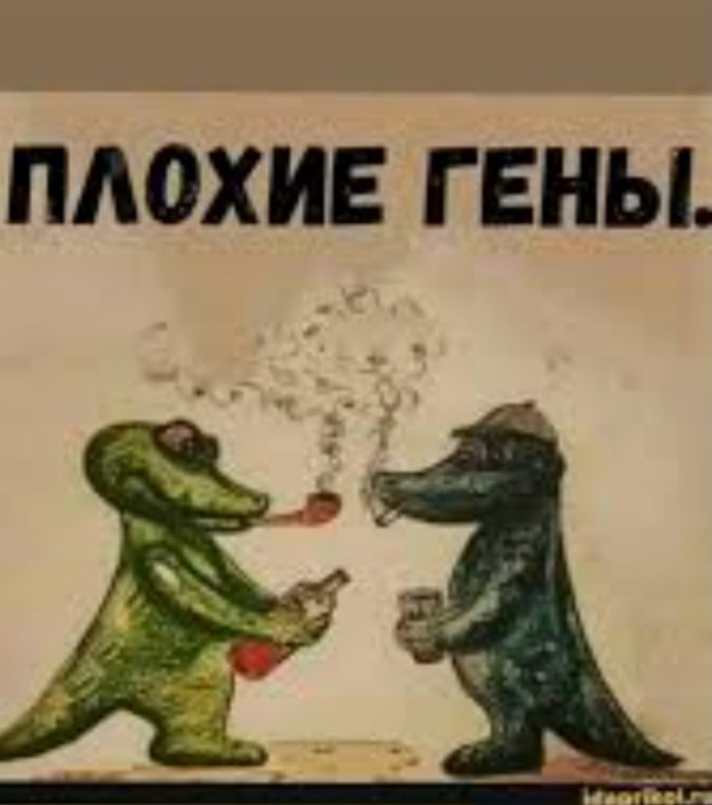 Когда нашёл работу мечты⁠
