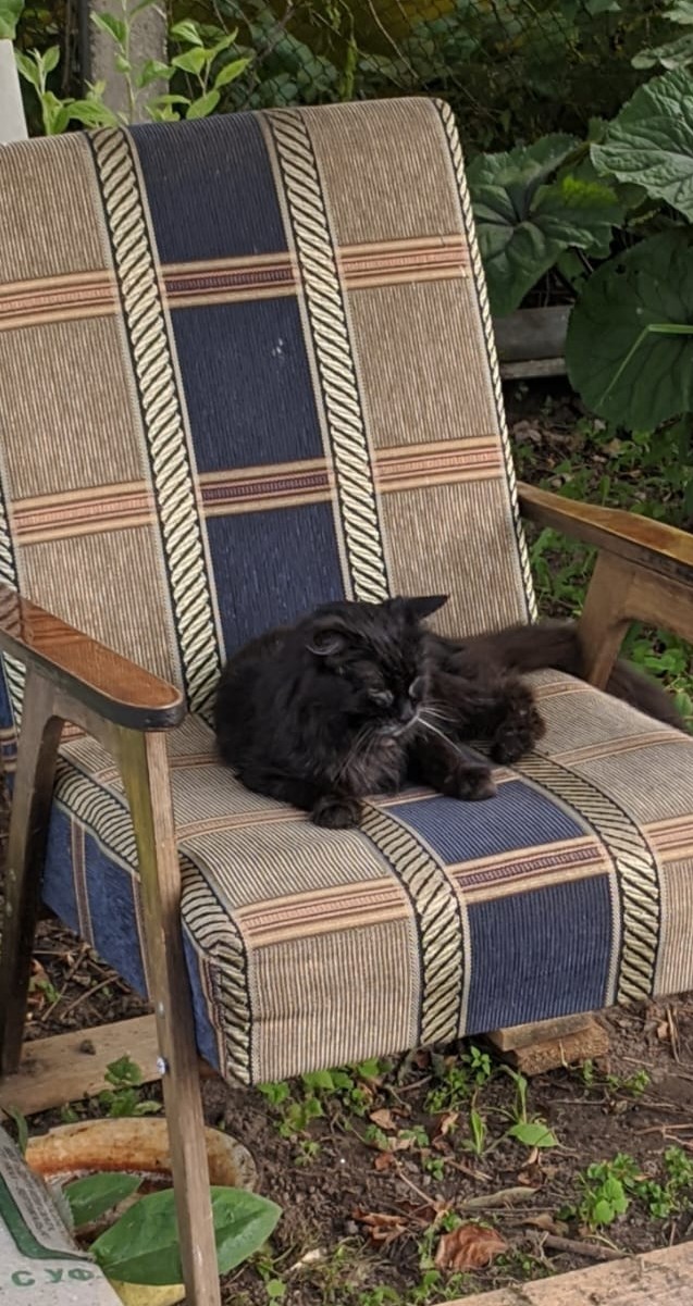 Котик Мелкий. Беги по радуге наш друг