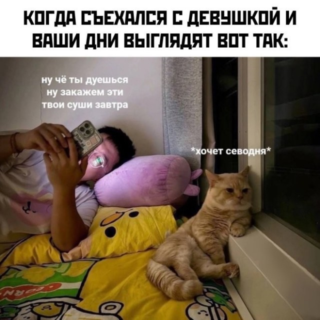 Юмор в картинках и без
