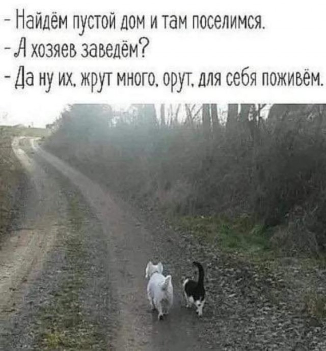 Маленькая пятница 29.01.25
