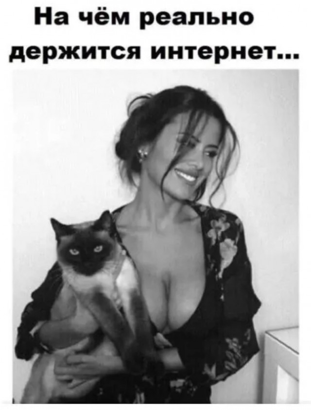 Завалялось тут случайно немного забавных картинок