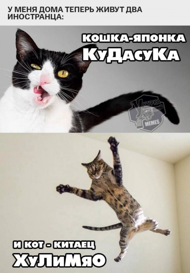 Картинки со стишками депресняшками - 10