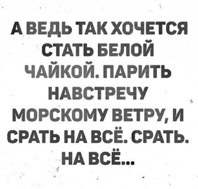Так себе картинки 10.03.25