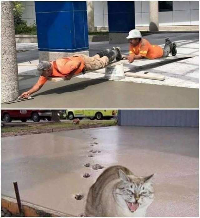 20243819.jpg