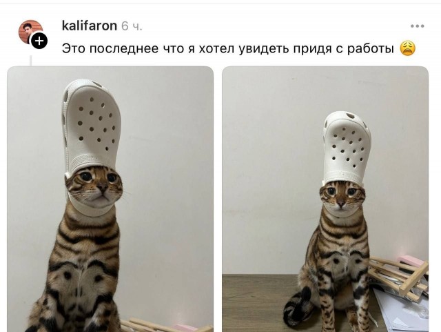 Это новый Папа Римский?